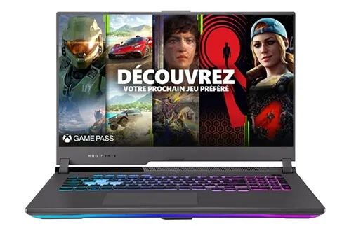 Avis clients Asus ROG STRIX G17 G713IE-HX014W Gris