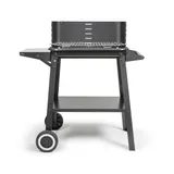 LIVOO - Barbecue à charbon DOC328-48.5x28.8 cm de cuisson, 5 niveaux de cuisson, acier peint, grille en acier chromé