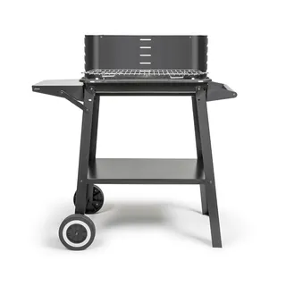 LIVOO - Barbecue à charbon DOC328-48.5x28.8 cm de cuisson, 5 niveaux de cuisson, acier peint, grille en acier chromé