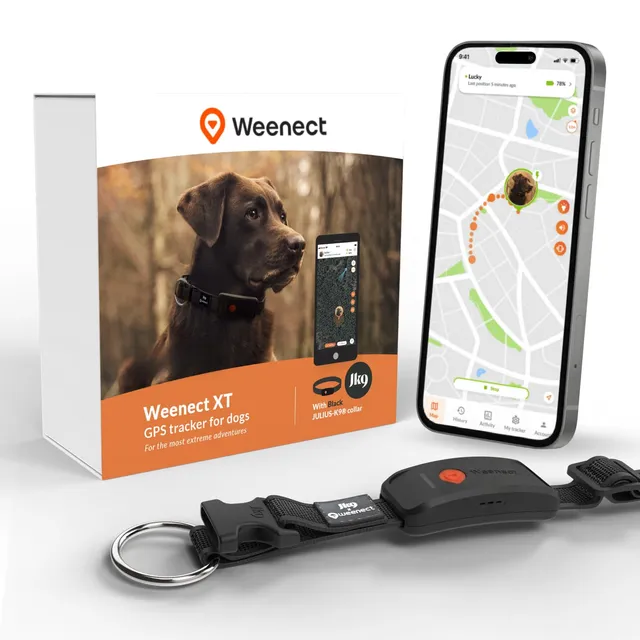 Weenect Chien XT - Collier GPS pour Chien | Abonnement requis