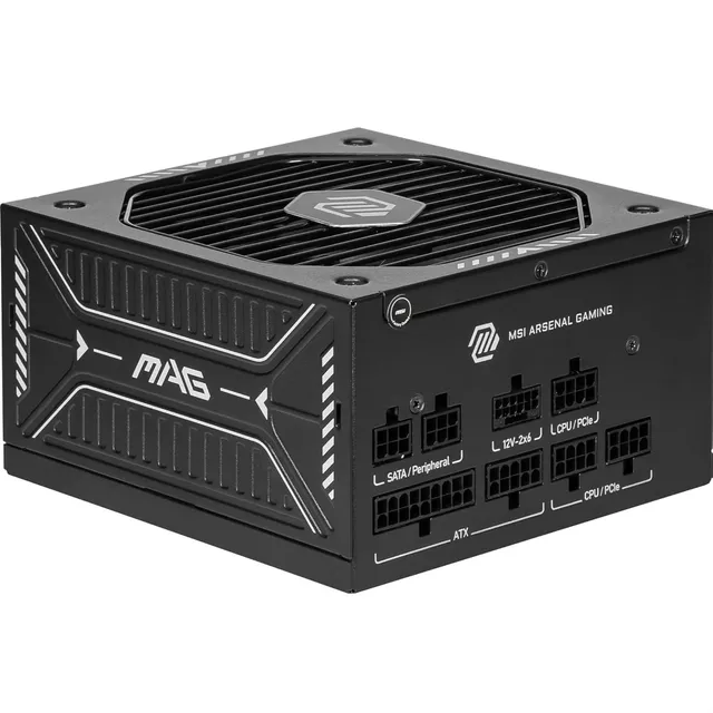 MSI MAG A750GLS PCIE5 Alimentation modulaire ATX 3.1, 80 Plus Gold