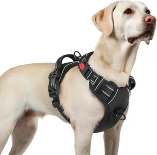 rabbitgoo Harnais Chien avec 3 Boucles, Facile à Mettre et à Enlever, Harnais Anti Traction pour Chien avec Poignée et Attache Devant, Réglable, Réfléchissant, Arnet pour Chiens Grand, Noir, L