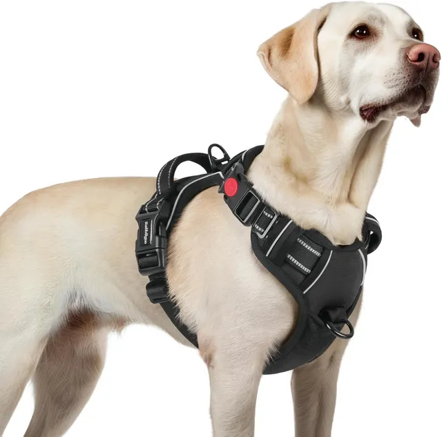 rabbitgoo Harnais Chien avec 3 Boucles, Facile à Mettre et à Enlever, Harnais Anti Traction pour Chien avec Poignée et Attache Devant, Réglable, Réfléchissant, Arnet pour Chiens Grand, Noir, L