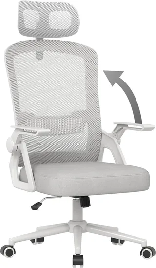 naspaluro Ergonomic Office Chair, Grey
