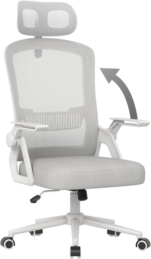 naspaluro Ergonomic Office Chair, Grey