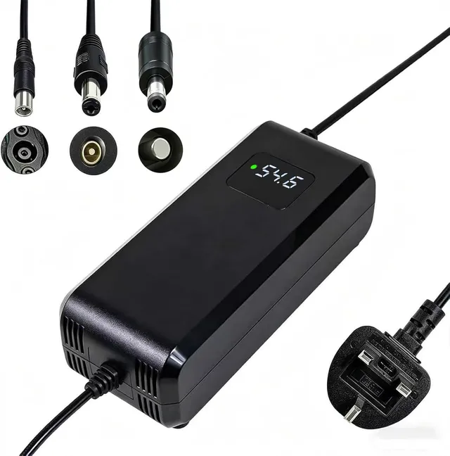 Chargeur Batterie 54.6V 4A, pour Batterie Lithium 48V, avec Affichage LED et Multiples Fonctions de Protection et de réparation, équipé de connecteurs RCA 8mm, DC 5.5 * 2.1mm