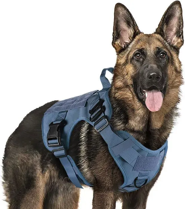 Rabbitgoo Harnais Chien Harnais Tactiques pour Chien-XL Bleu Réglable Résistante pour Randonnées et Chasse